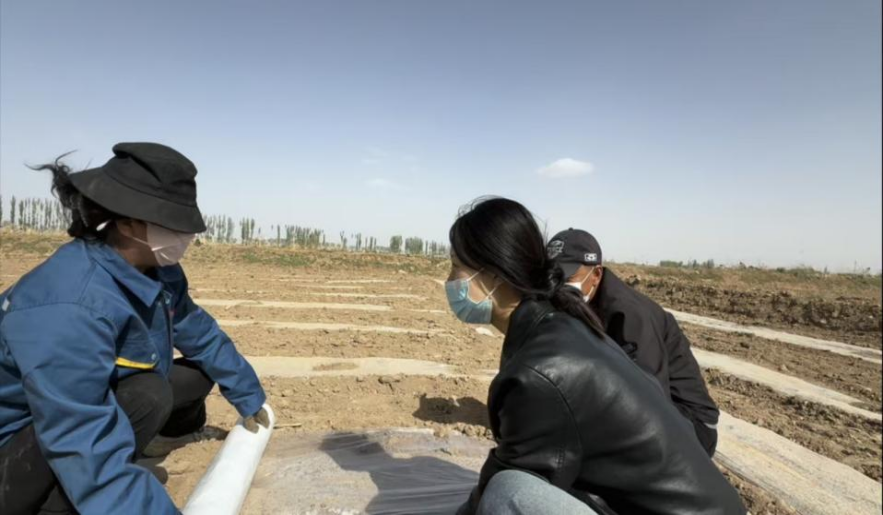 图2农户李桂兰在田埂上接受实践队员采访