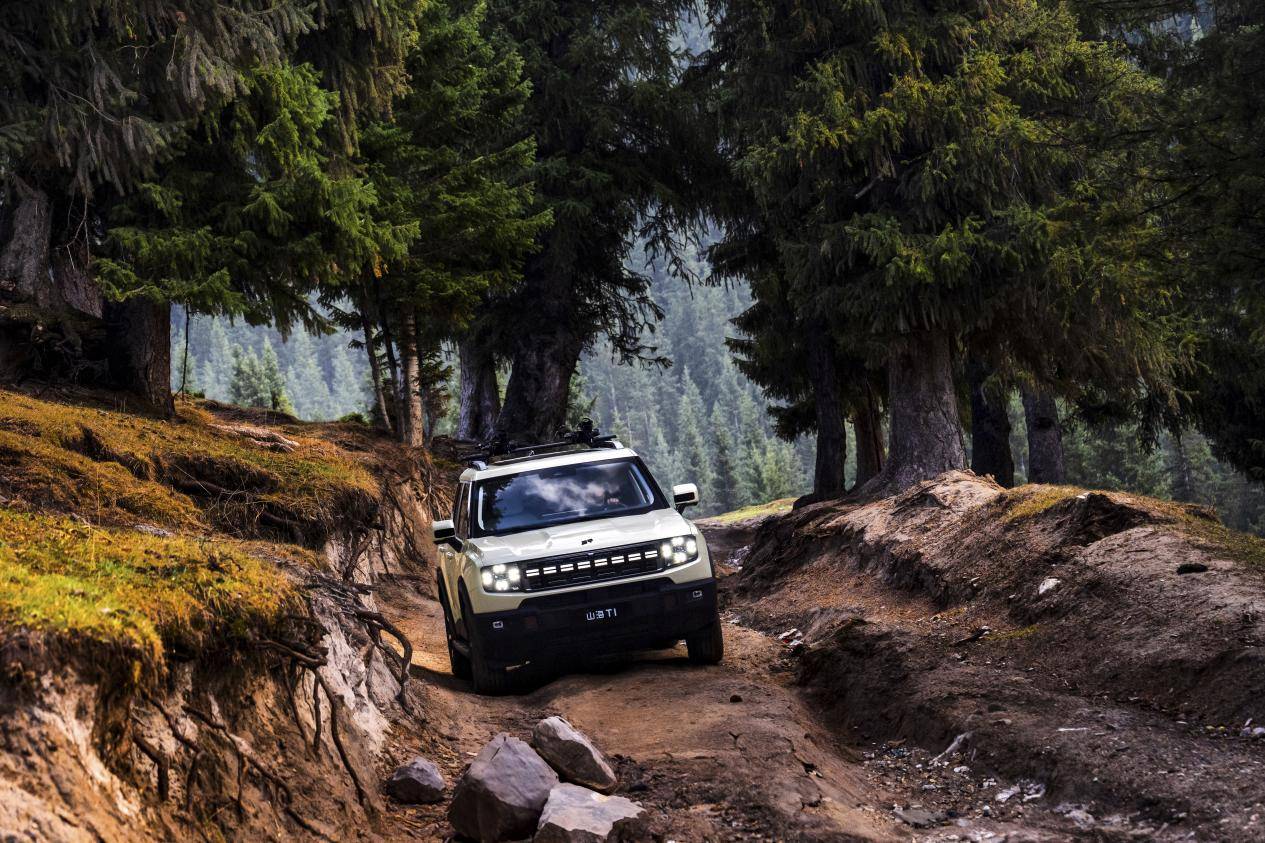 WechatIMG81 1 拷贝