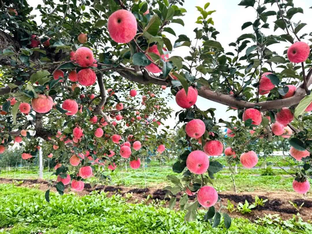 4a056b4a061206dfa3abaf065f641e74