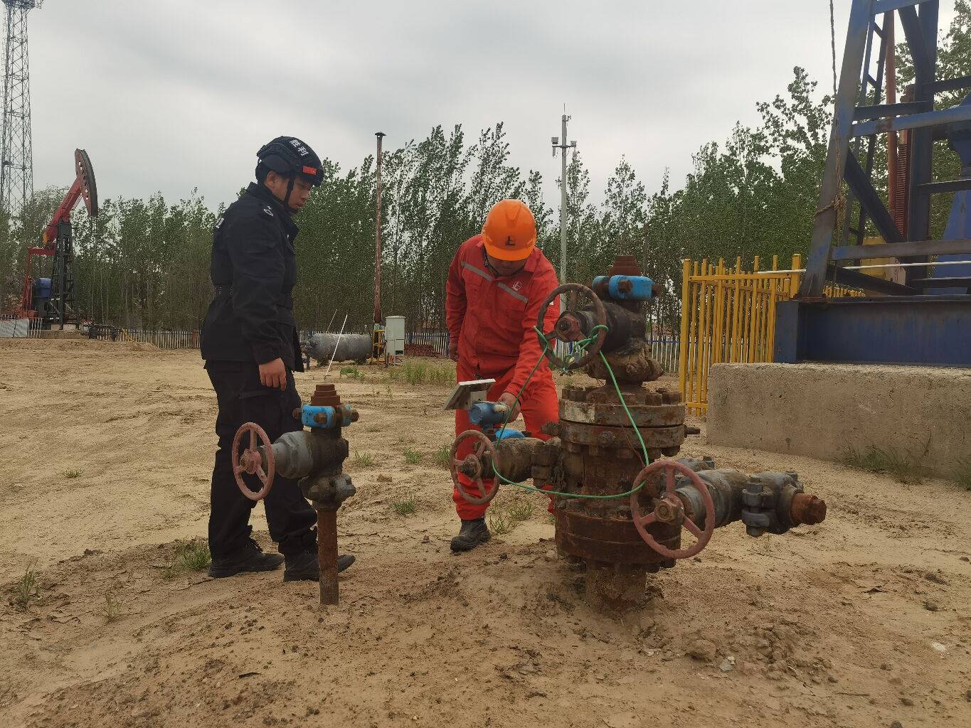 0880806010d9f78a8102