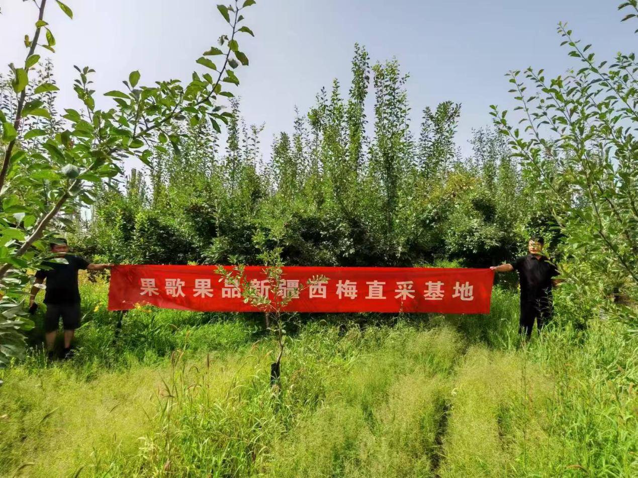 1de82223f01c550889efc8490ef5873