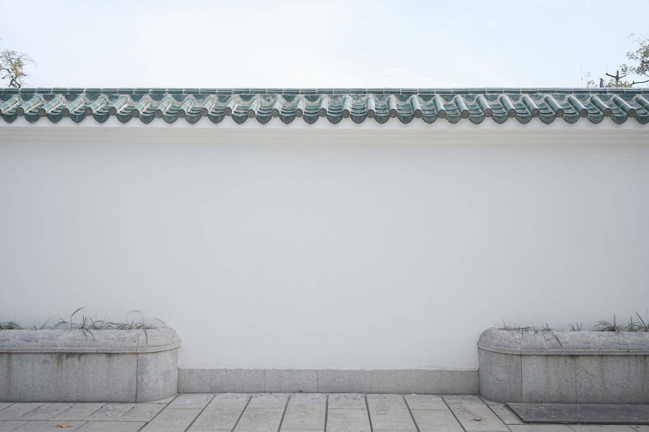 DSC09825-opq3573862105