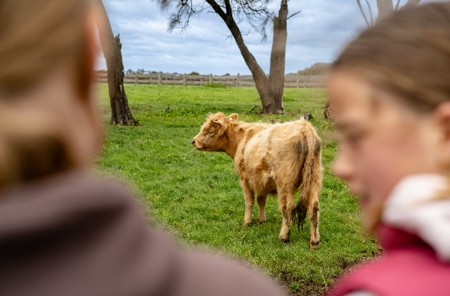 如图片无法显示，请刷新页面
