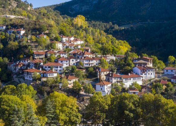 Bolu-Göynük-1