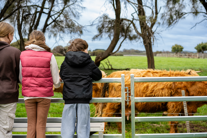 如图片无法显示，请刷新页面