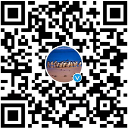 如图片无法显示，请刷新页面