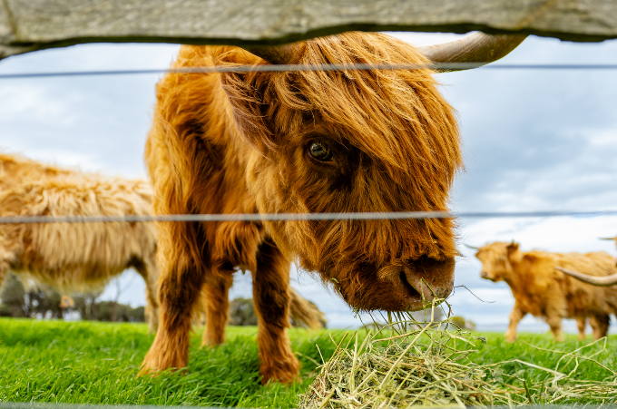 如图片无法显示，请刷新页面