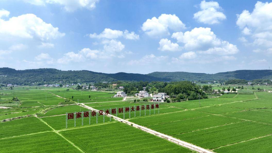 微信图片_20251015110029